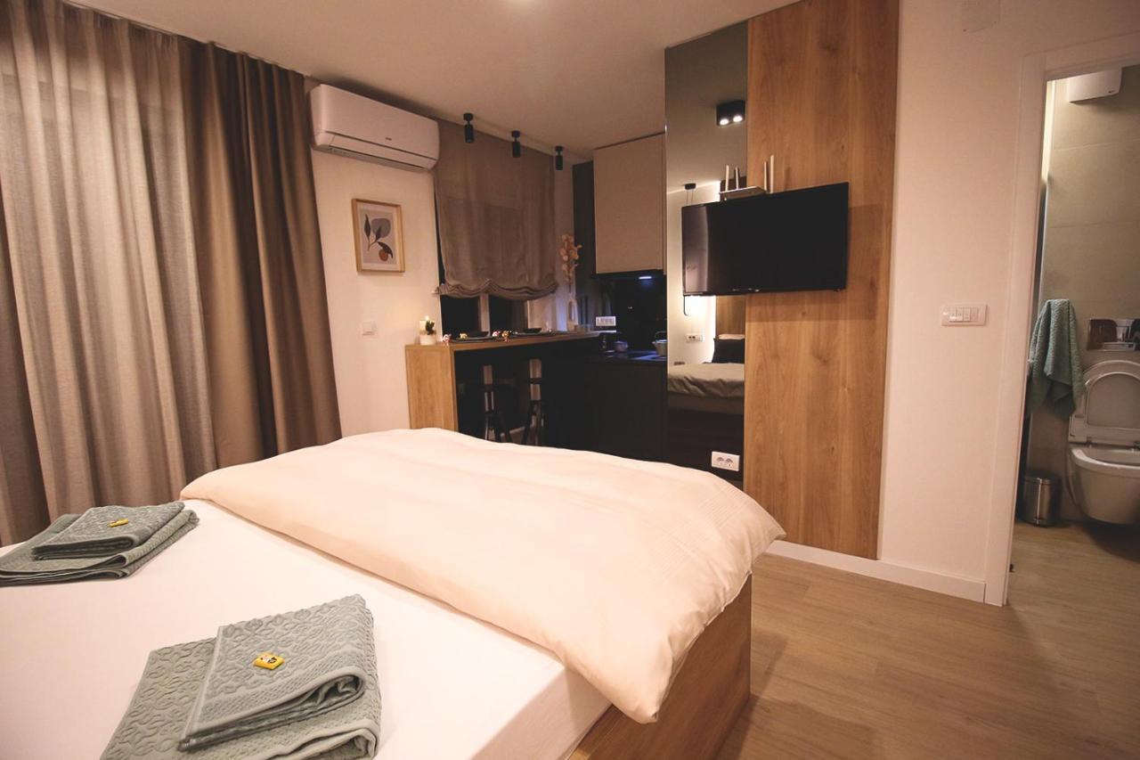 Apartment Top Room Sabac
