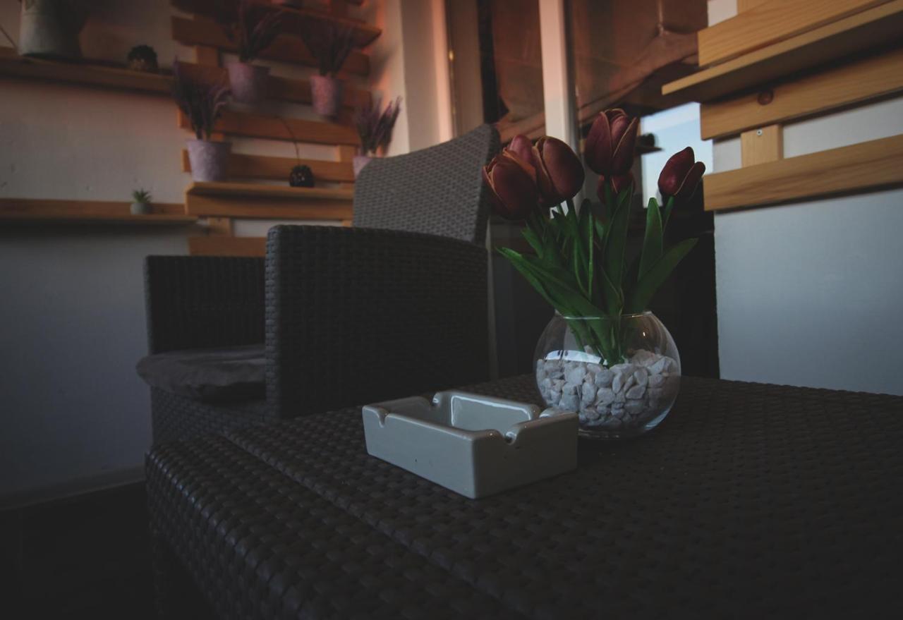 Top Room Apartment